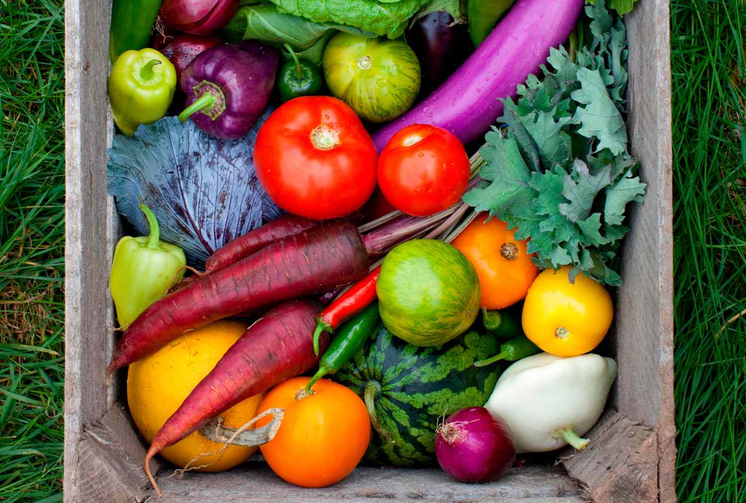 Fresh Produce